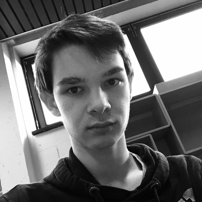 martin533, 18 ans, Charleroi